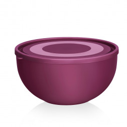 Салатница с крышкой 2,5 л Elfplast