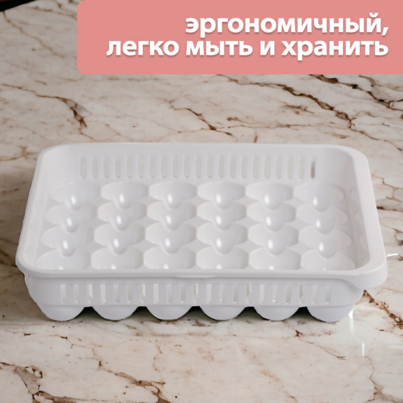 Контейнер для яиц на 30 ячеек HobbyLife