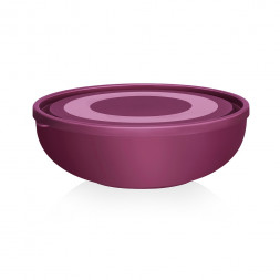 Салатница с крышкой 2,6 л Elfplast
