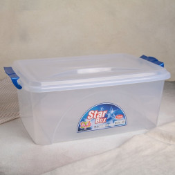 Контейнер с крышкой 11,5 л DDStyle &amp;quot;Star Box&amp;quot;