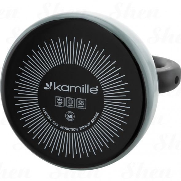 Чайник эмалированный 2,5 л со свистком Kamille