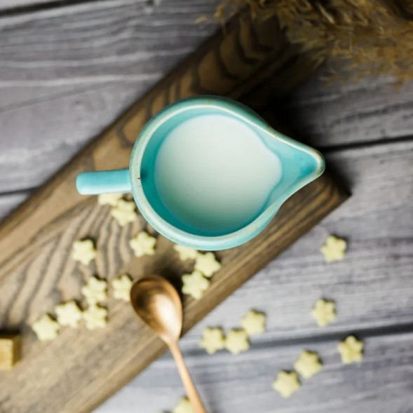 Молочник 150 мл Porland Seasons Turquoise