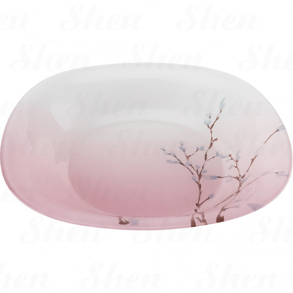 Сервиз столовый 19 предметов Luminarc Neo Carine Hana Rose