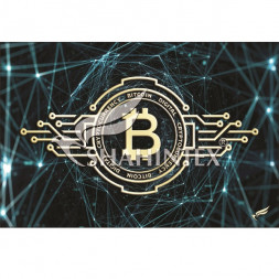 Коврик в прихожую 60х90 см влаговпитывающий Shahintex Digital +